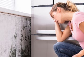 How to Remove Mold from Drywall | Drywall Repair Westlake Village CA
